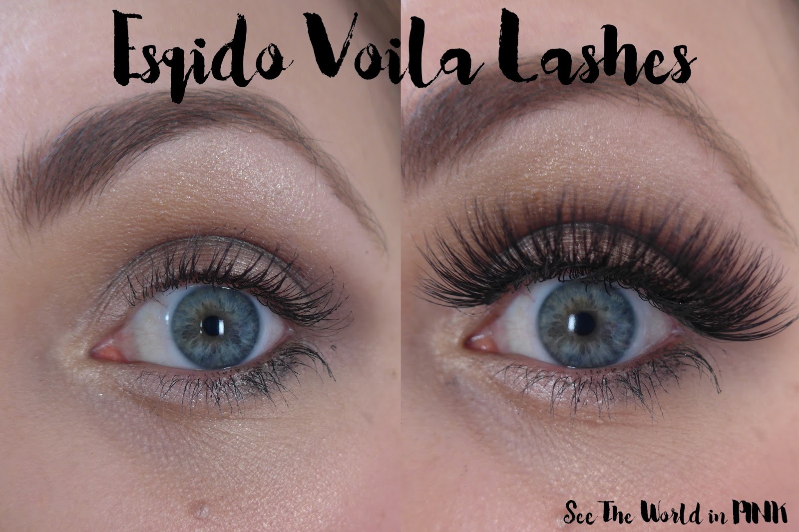 Esqido Mink False Eyelashes - "BFF" and "Voila" Try-on and Review! 