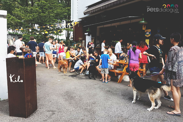 Sunday Brunch with Dogs