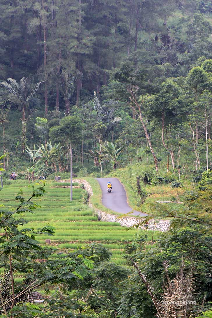 makam syekh maja suta petungkriyono pekalongan