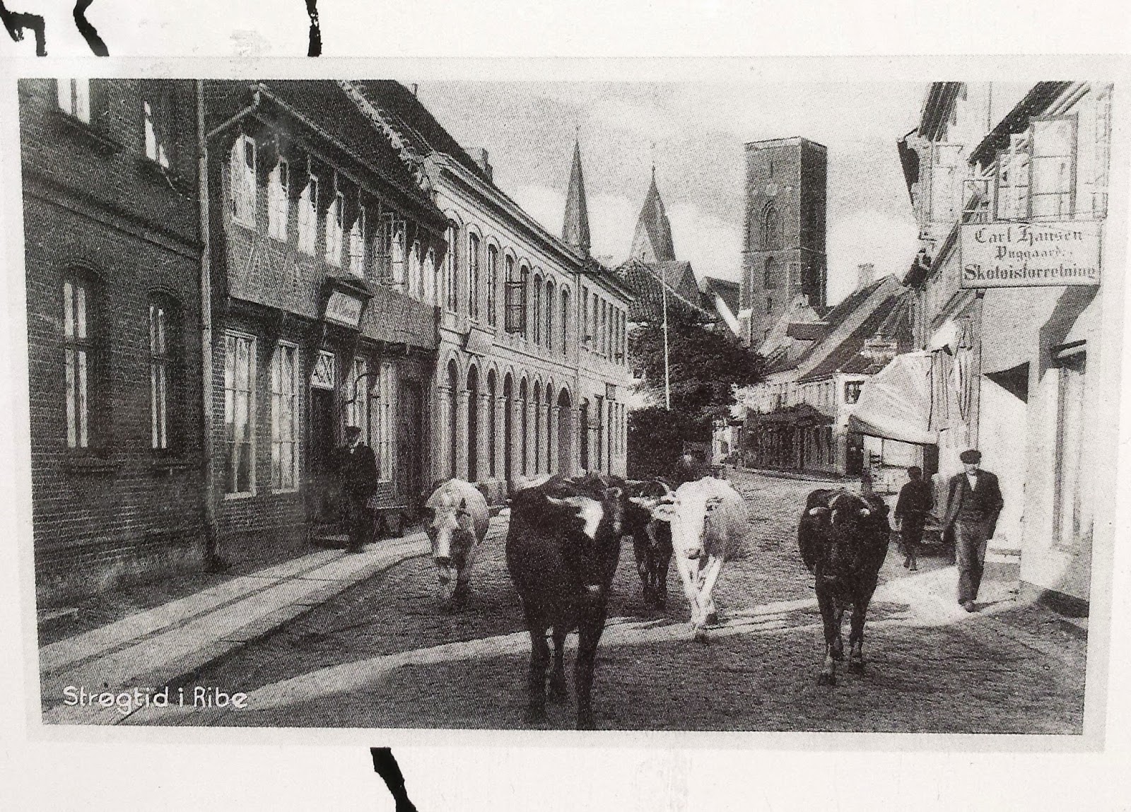 History and Culture by Bicycle Denmark October 1943, Peaceful Denmark