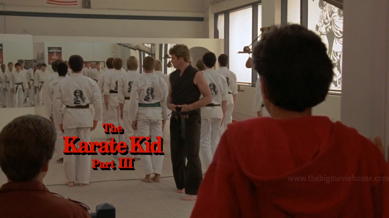 The Karate Kid Part III / The Next Karate Kid Bluray Review + Screenshots