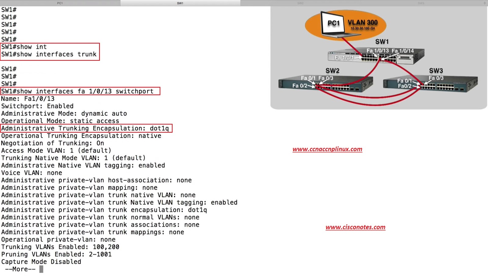 TroubleShooting IEEE 802.1Q Trunks Best Cisco CCNA CCNP and Linux