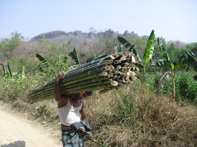 AMAZING BANGLADESH SITAKUNDA ECO PARK amazing-bangladesh-sitakunda-eco-park