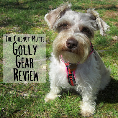 The Chesnut Mutts Golly Gear Review