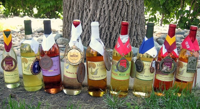 Cerveja, bolo de aniversário e meteorito: 7 vinhos com sabores inusitados