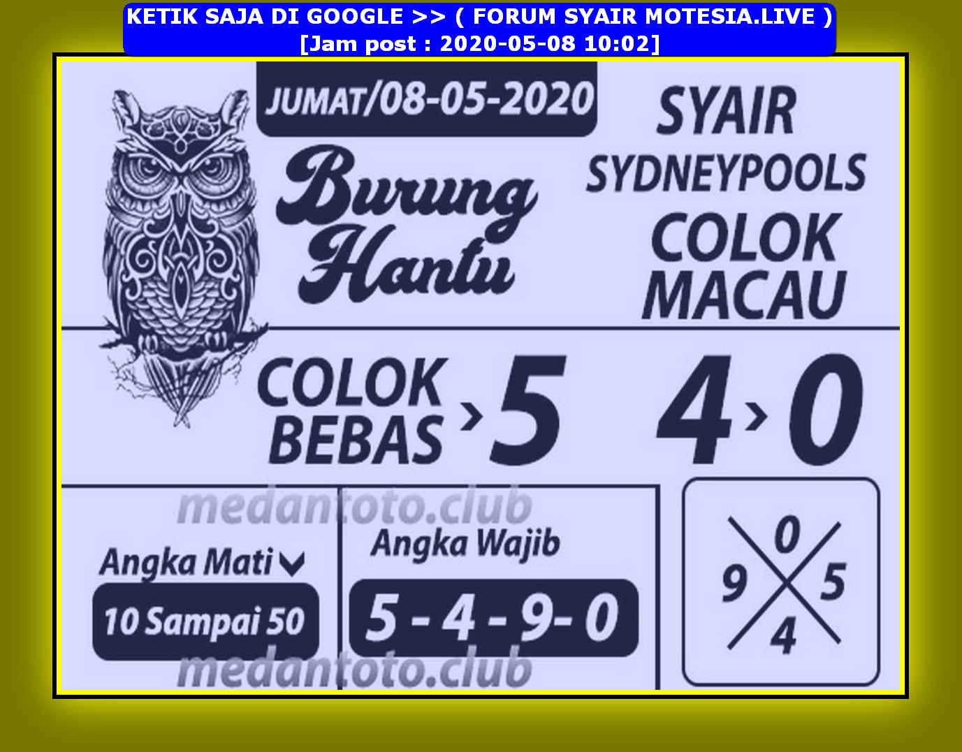 Get Burung Hantu Hk Pictures