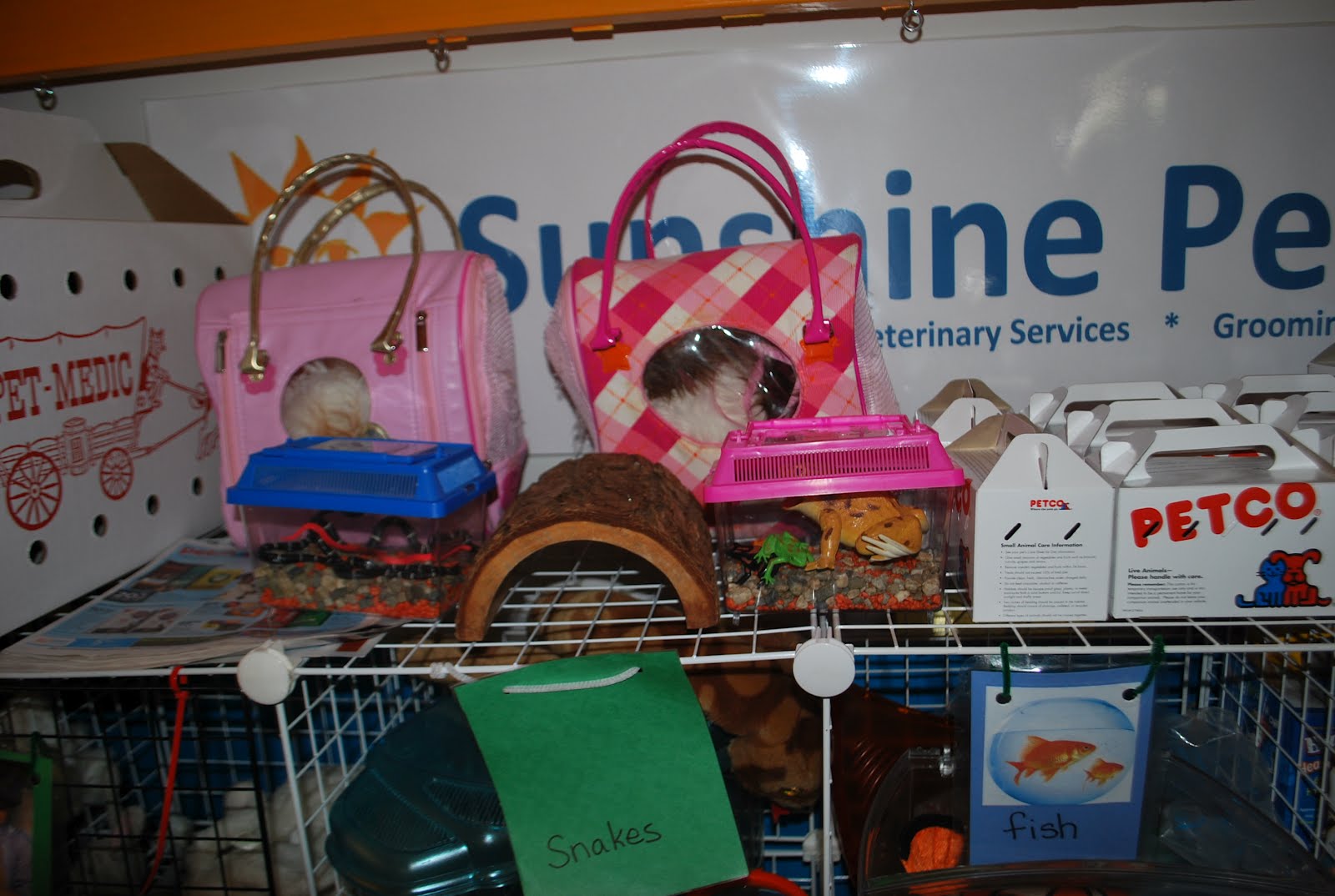 Familylicious Preschool Projects Vet/ Pet Store Imaginary Play