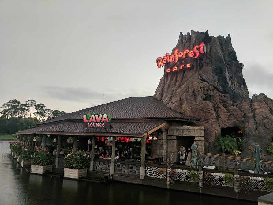 11 Things to do with Kids at Disney Springs Orlando, Florida  - Rainforest cafe