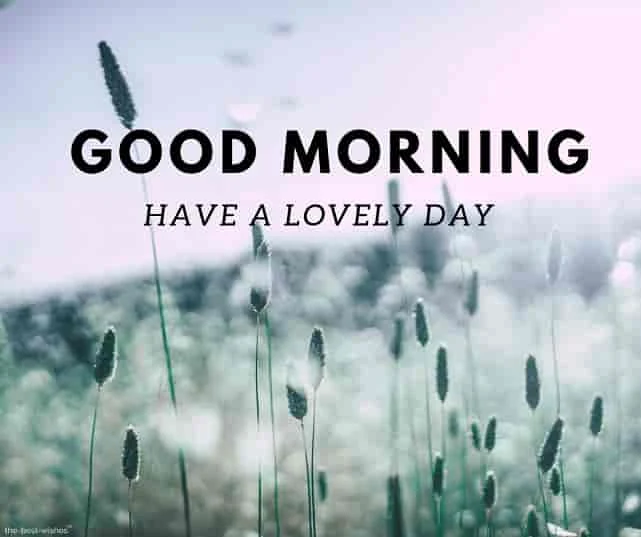 good morning images of nature