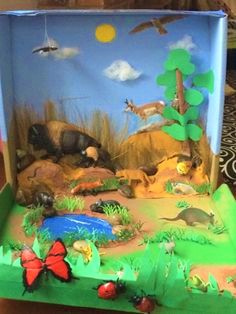 Lane S Learning Lab Ecosystem Diorama Projects,White Asparagus Fern