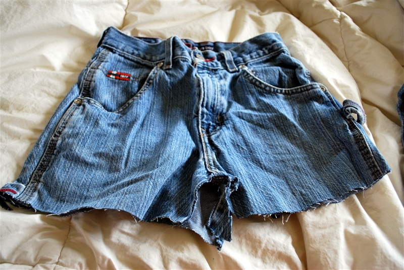 prairie-scraps-jean-purse-tutorial