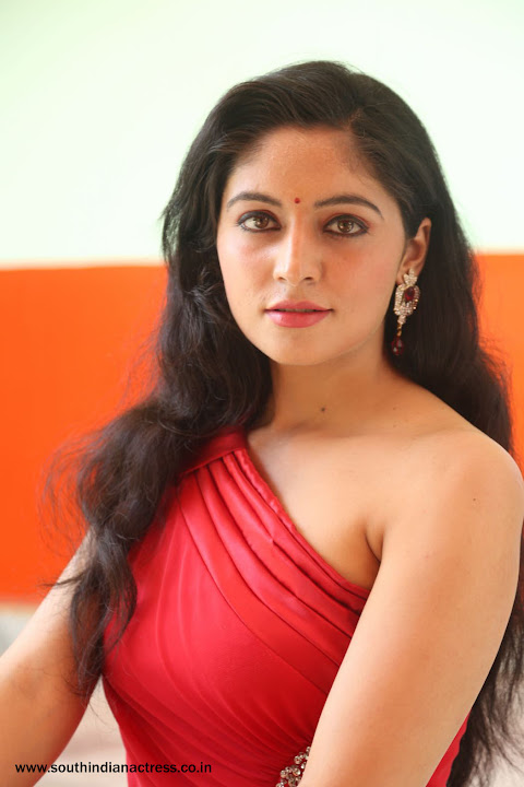 Zahida Sam photoshoot at Badragiri Movie Launch