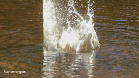  water splash rocks