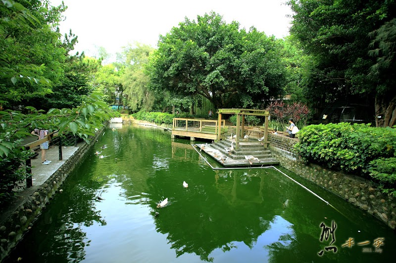 新竹親子遊|新竹市立動物園~有日本奈良賞鹿的Fu