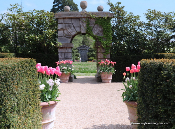 Red Flowering Currant Stock Photos Red Flowering Currant Stock