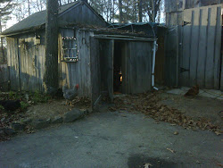 chicken coops bohemian