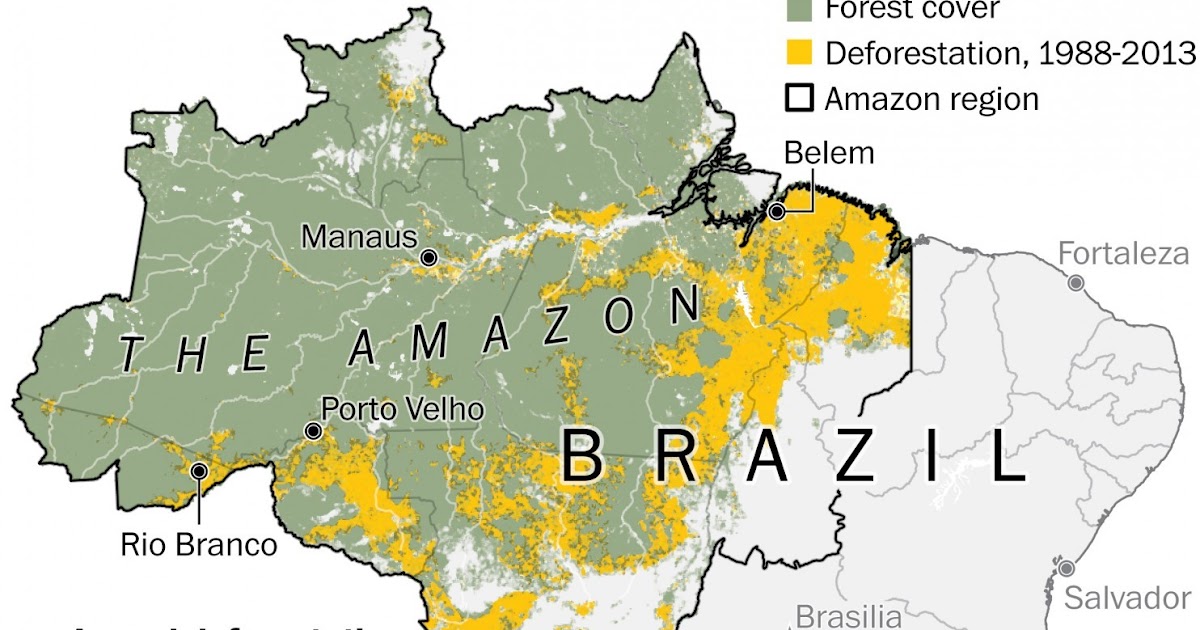 Deforestation-of-the-amazon-map - Facts & Information FBF