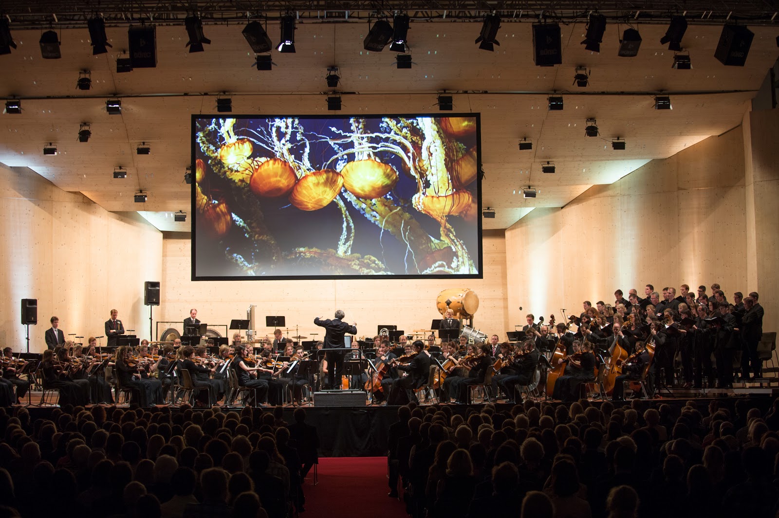 21st Century Symphony Orchestra mit Ludwig Wicki. Photo: Gstaad Menuhin Festival & Academy.