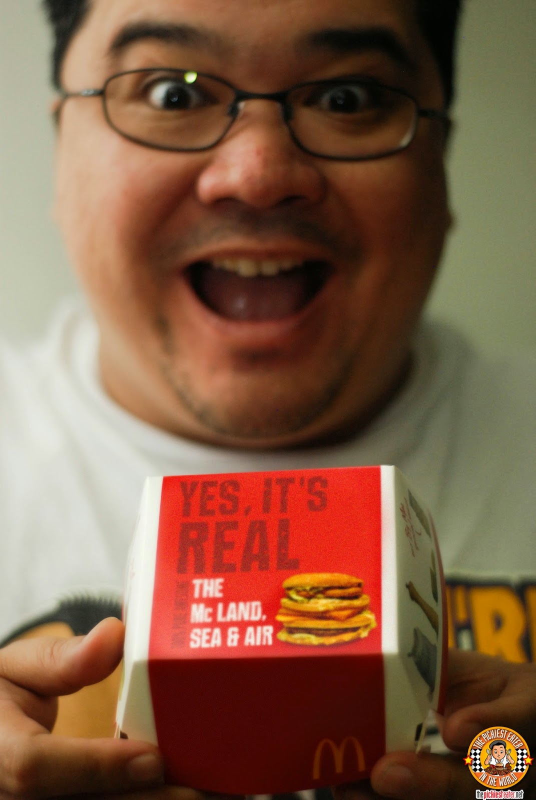 THE PICKIEST EATER IN THE WORLD YES, IT'S HERE! MCDONALD'S MC LAND