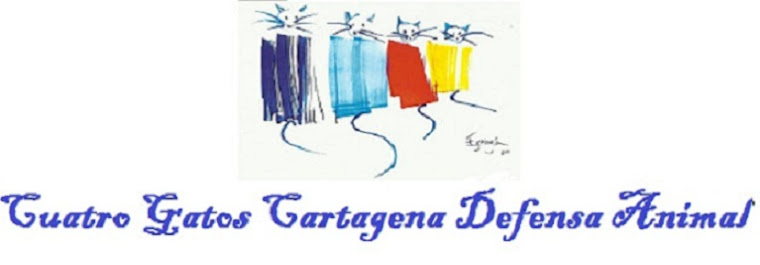 Cuatro Gatos Cartagena