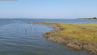 PLACES / Porto Palafita, Carrasqueira, Portugal