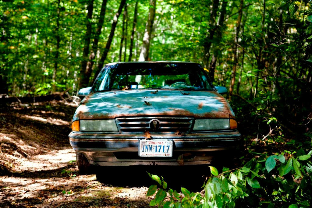 Blue Ruin - wide 9