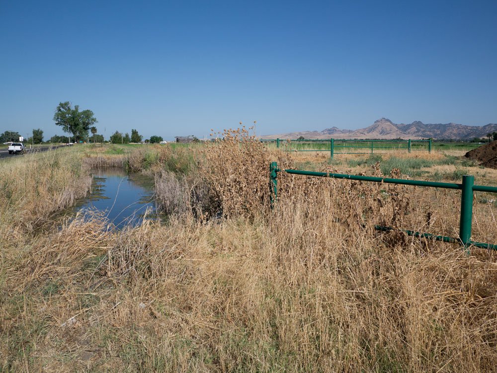 Working Pictures More Irrigation