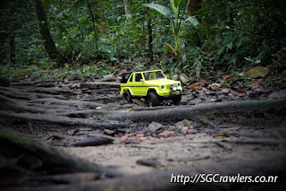 [PHOTOS] 20160424 - Rifle Range Road - Durian Loop Trail Photos DSC02783