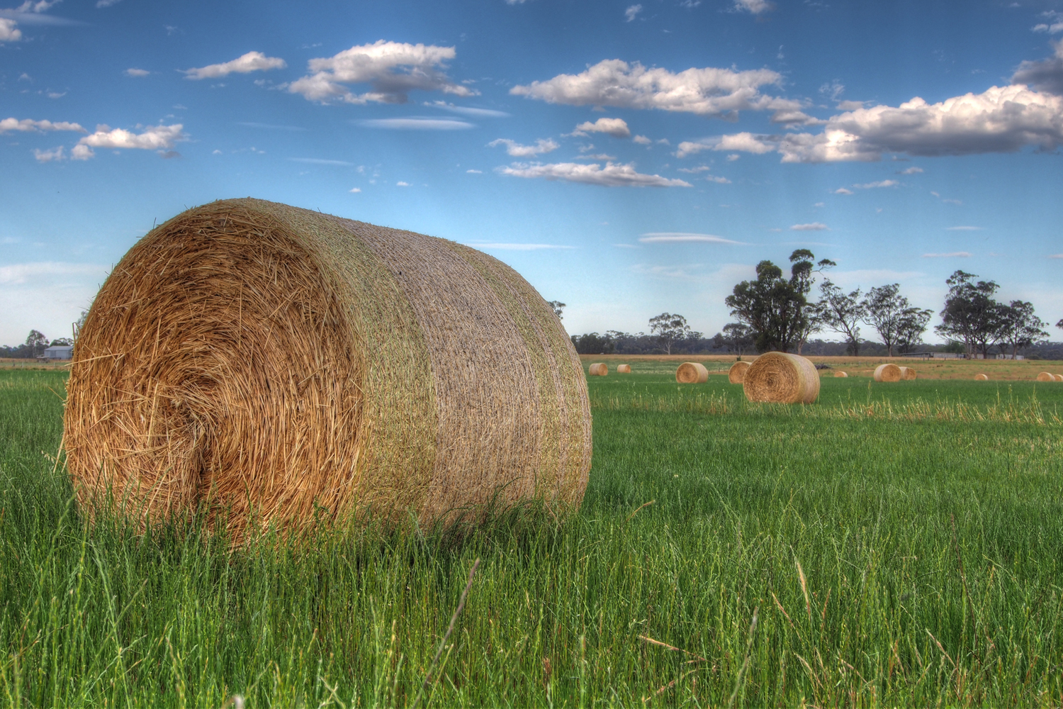 Joel Bramley Photography Hay Bales and HDR