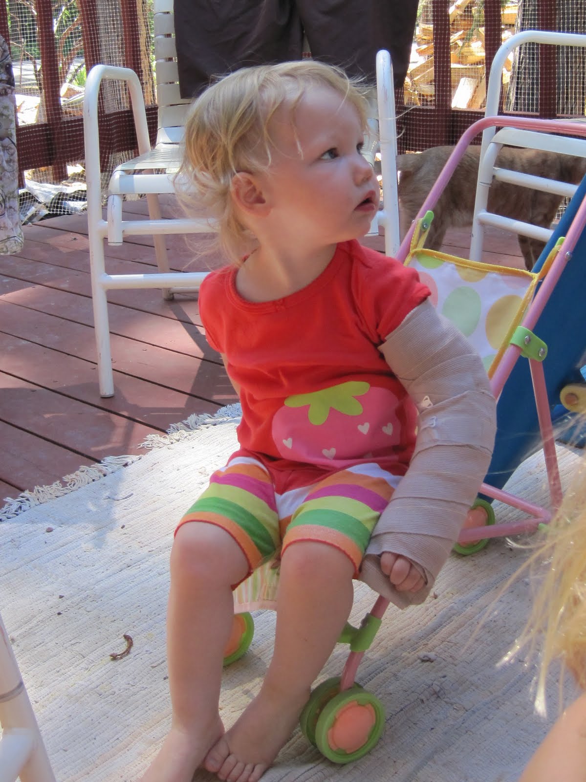 The Breastfeeding Mother Two years!