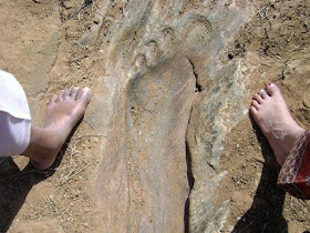 Nephilim Giants and their huge ancient footprints have set in stone. Nephilim Giants and their huge ancient footprints have set in stone.