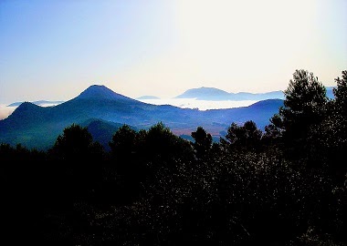 Vista panoràmica de Justo Ivorra