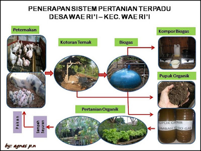 Menjembatani Desa dan Kota: Sistem Pertanian Terpadu sebagai Solusi Ketimpangan Regional