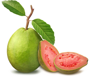 Sudah Tahu Manfaat Jambu Batu Sudah Tahu Manfaat Jambu Batu