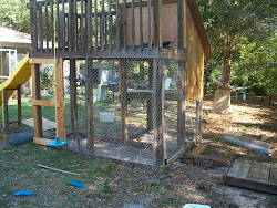 chicken playground chickens backyard enclosing wire run