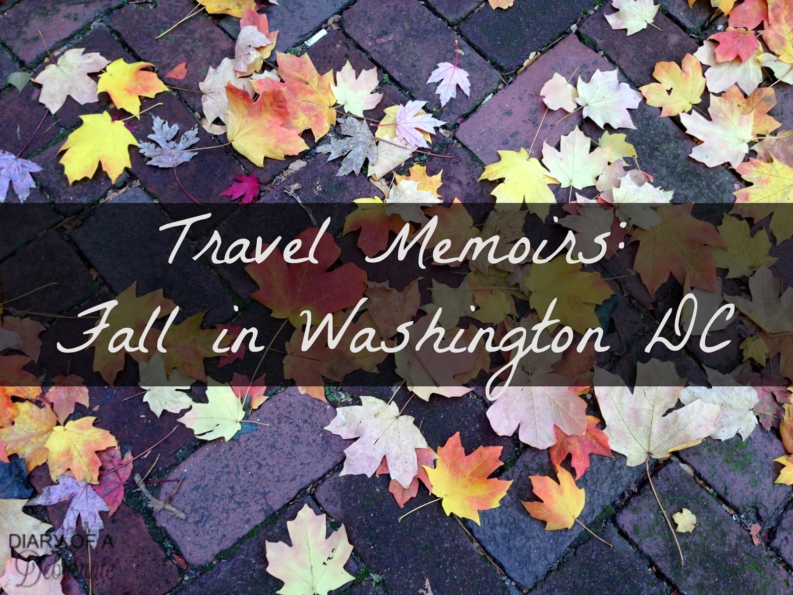 Travel Memoirs: Halloween in Washington, DC