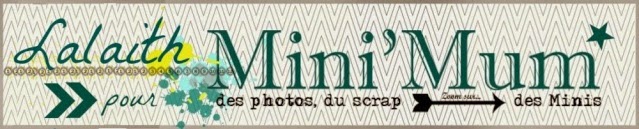 Ancienne Dt Mini'mum scrap