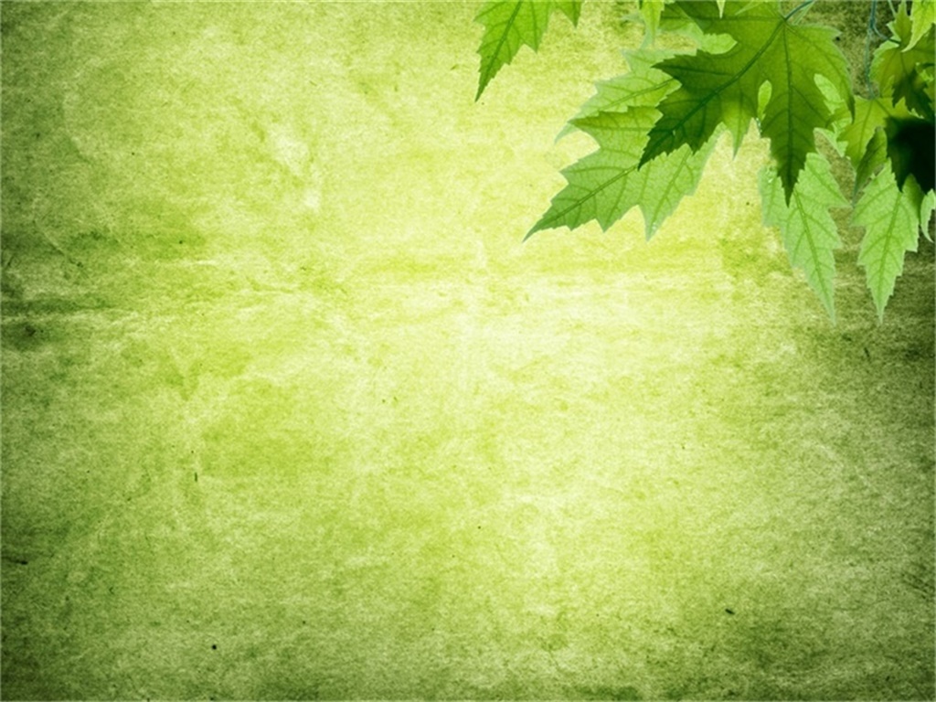 A group of elegant green leaves PPT backgrounds A group of elegant green leaves PPT backgrounds
