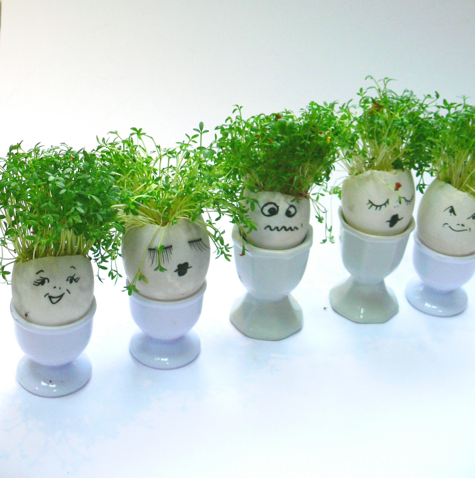 Beauty, Life and Babies: Get Cracking With Crafty Easter Egg Cress-Heads