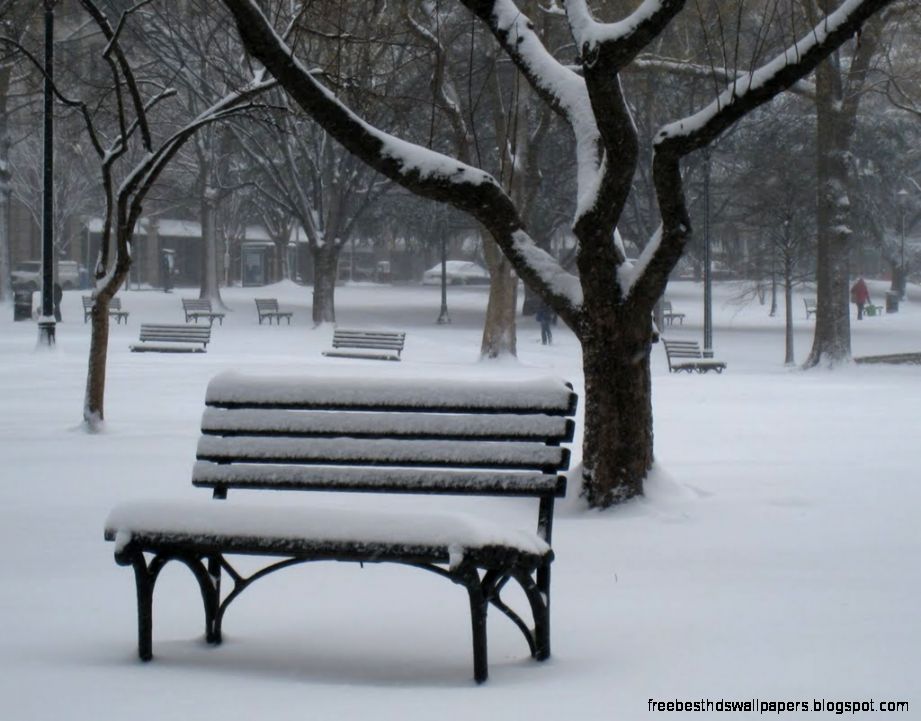 Panoramio   Photo of snowy bench