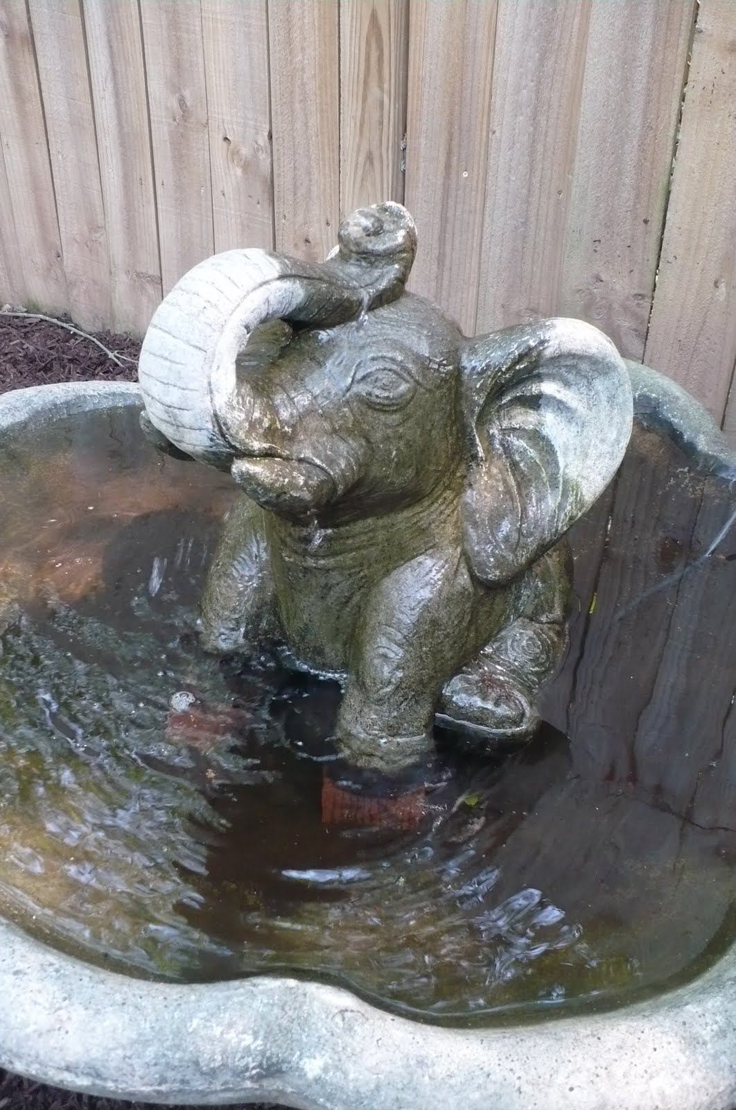 Gardening Goddess Water Features!