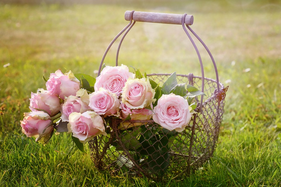 أجمل صور الورود الرومانسية الجميلة جدا