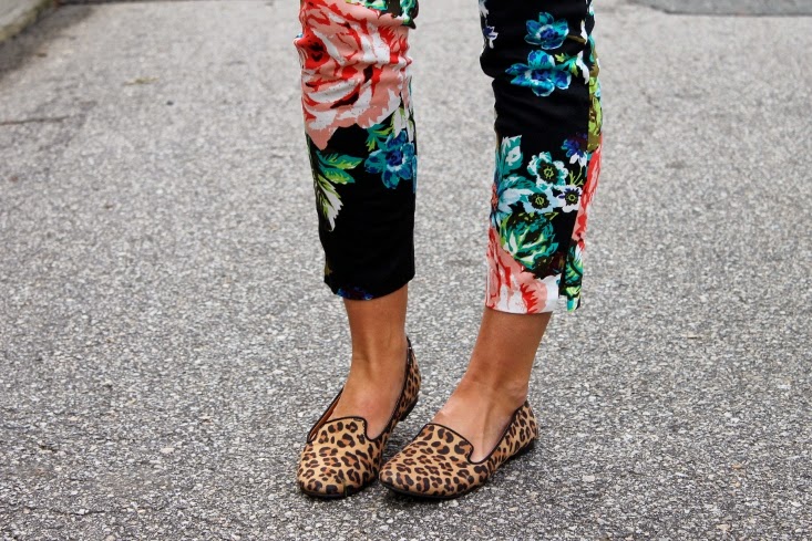 leopard smoking flat