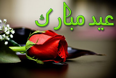 Eid Ul Adha Zuha Mubarak Rose Flowers Wallpapers Greeting Cards in Urdu