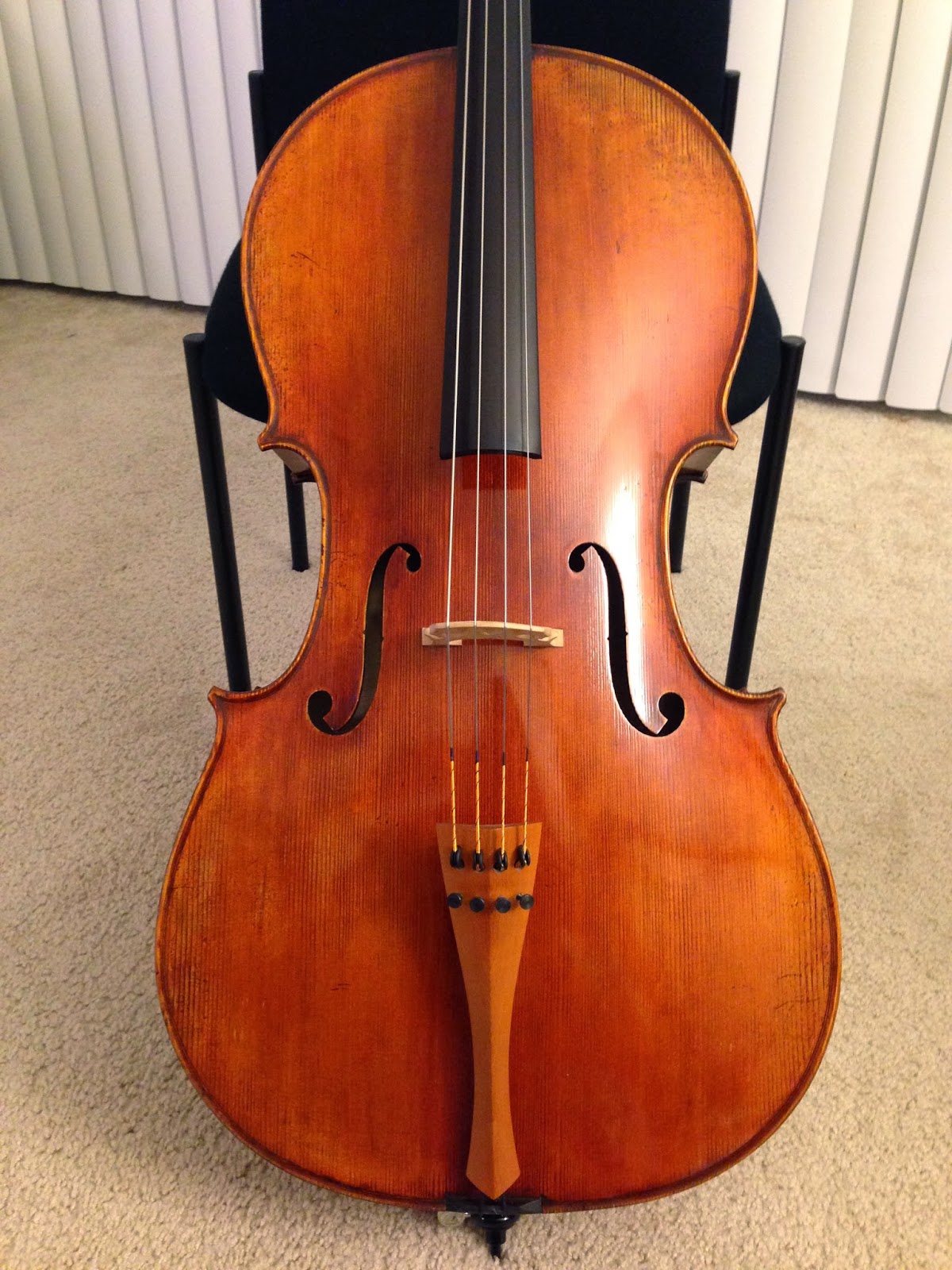 Cello Brained! My new cello! )