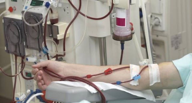 CNSS aprueba resolución que incluye trasplante renal de donante vivo o cadavérico