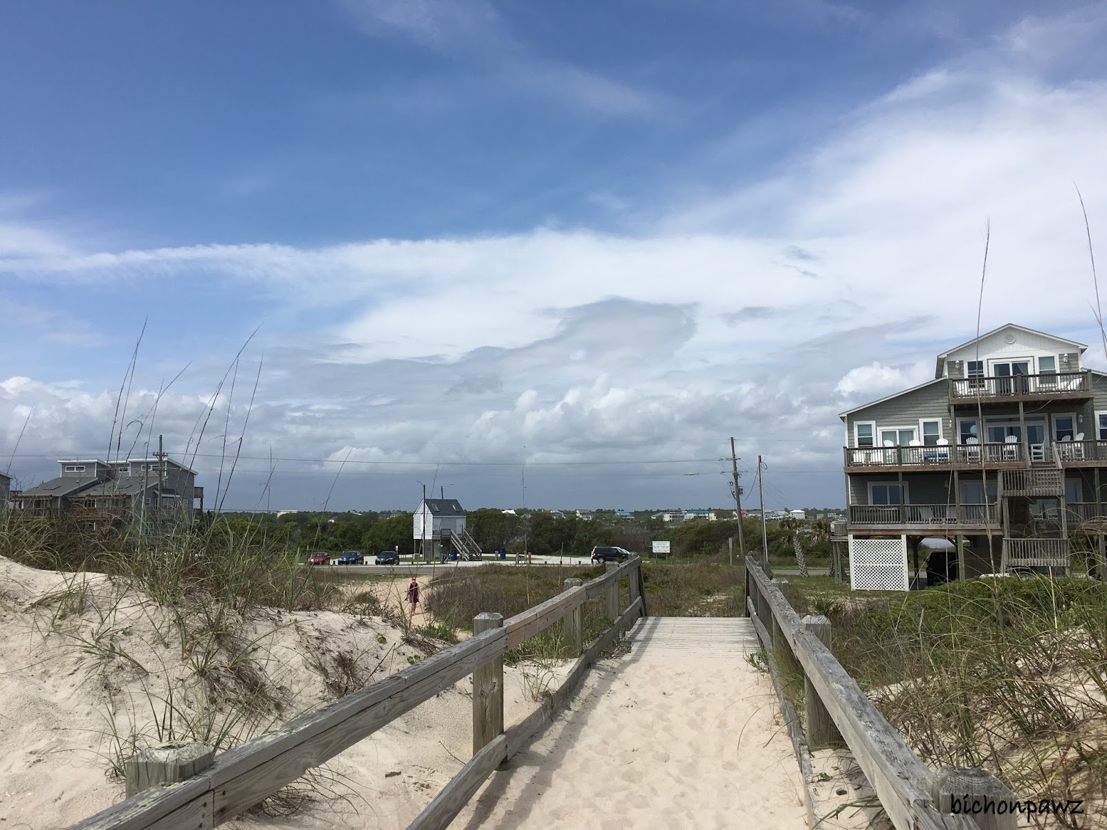 bichonpawz Travel Tuesday Topsail Island