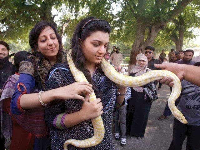 Hot Photo Gallery 2015 Pakistani College Girls 2014