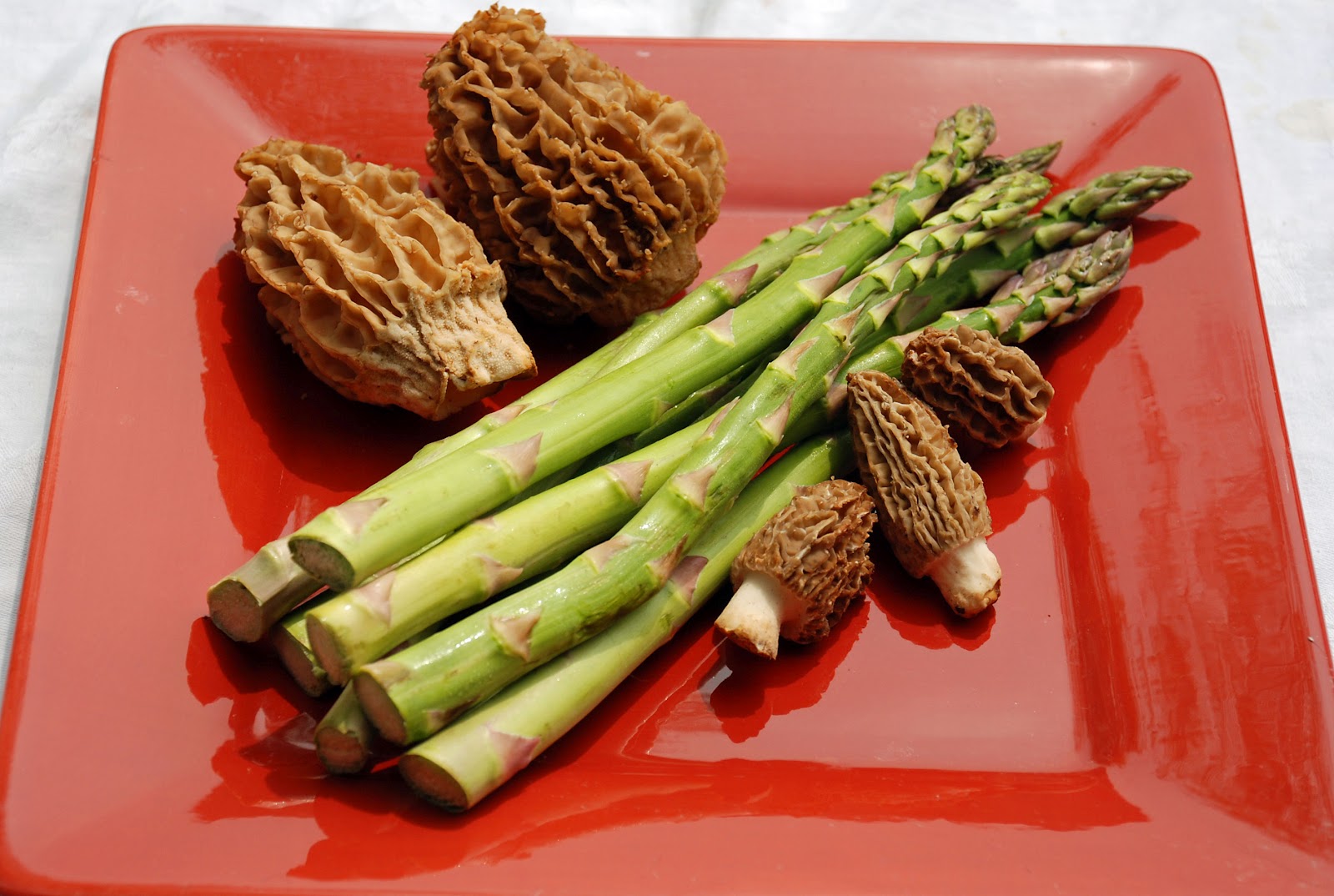 Two Dogs, a Flamingo and a Bottle of Wine Morels and Asparagus