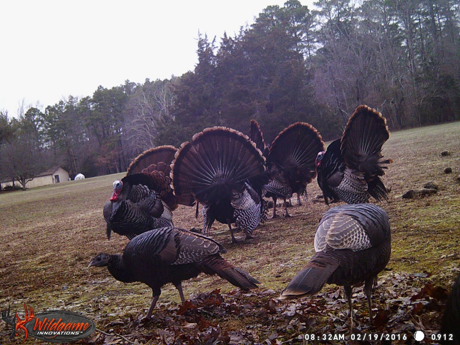 NJ Hunting Guide March 2016